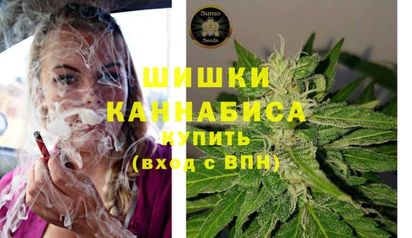 экстази Бикин