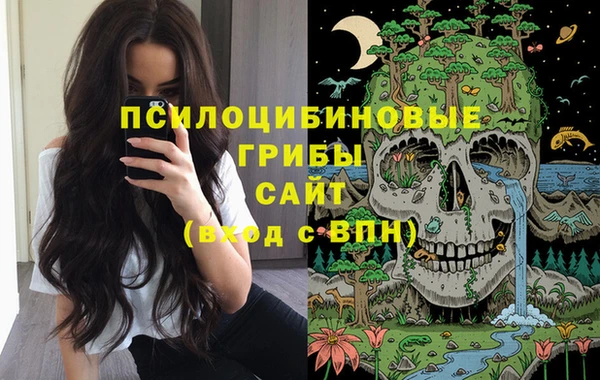 прущие крисы Арсеньев