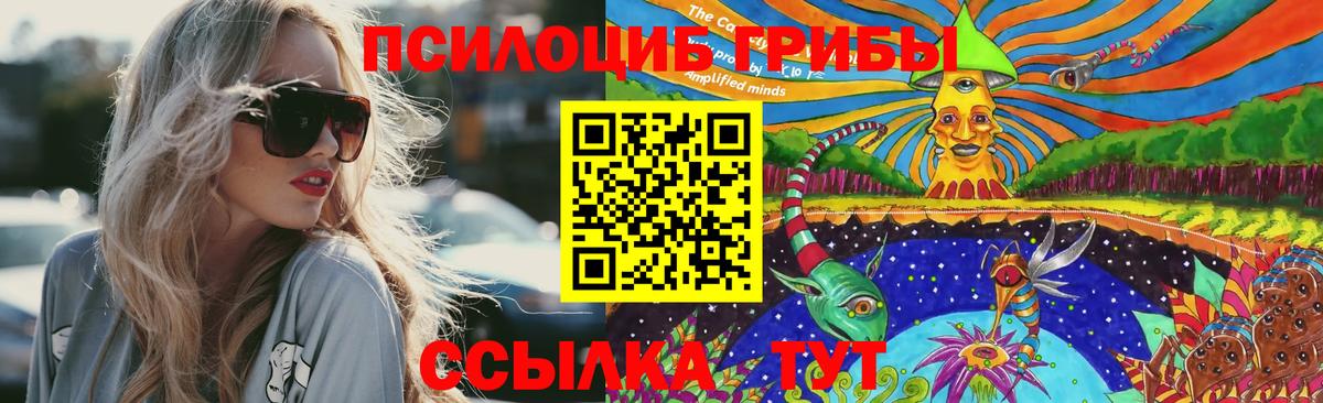 Светлоград  Псилоцибиновые грибы Magic Shrooms  Вход с VPN 