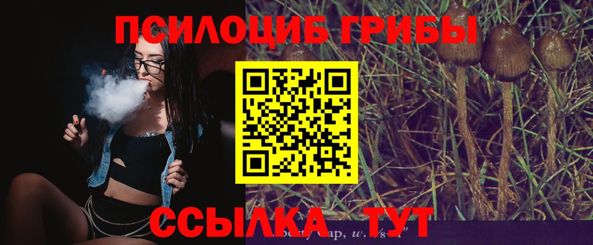 Псилоцибиновые грибы мицелий Светлоград